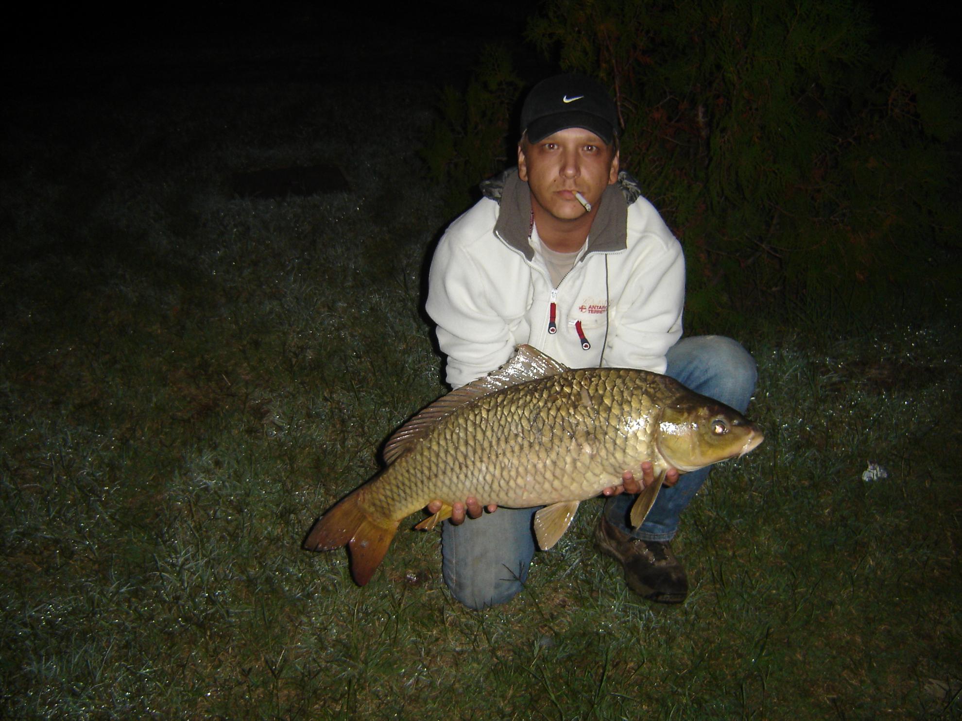 DELTA 2007-2012 - 10Kg. de DUNARE